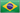 PT-BR